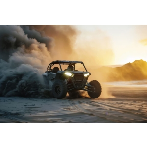 Alquiler de Buggy Ibiza